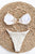 Textured Halter Neck Tied Bikini Set
